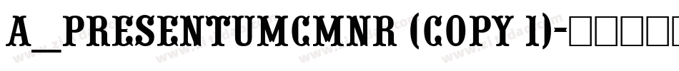 a_PresentumCmNr (COPY 1)字体转换